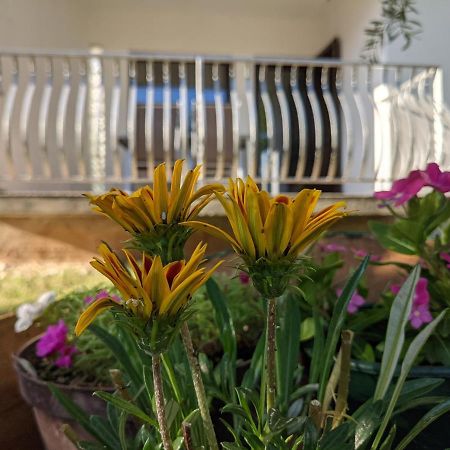 Apartment Ika Baška Eksteriør bilde